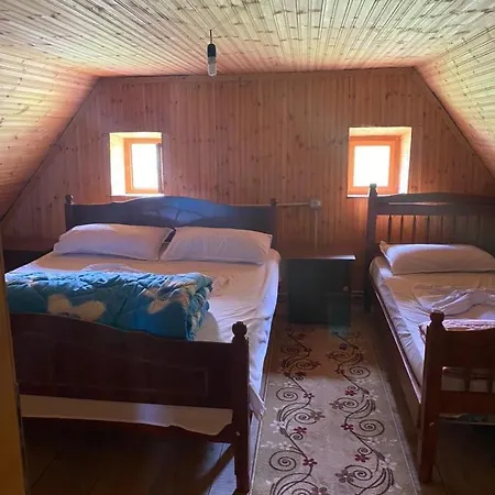 Grrela Guesthouse ゲストハウス *