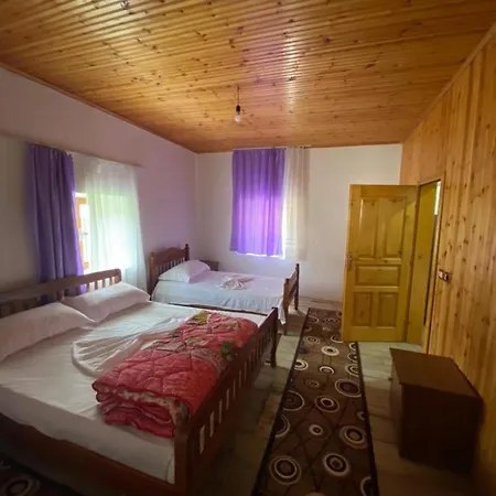Grrela Guesthouse ゲストハウス Shkodër
